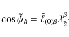 \begin{displaymath}
\cos\tilde\psi_{\hat a}={\bar\ell}_{(0)\beta}\lambda^\beta_{\hat a}\cdot
\end{displaymath}