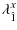 $\displaystyle {\lambda}_{\hat{1}}^{x}$