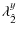 $\displaystyle {\rm\lambda}_{\hat{2}}^{y}$