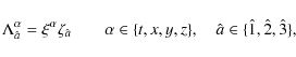 \begin{displaymath}\Lambda_{\hat{a}}^\alpha=\xi^\alpha\zeta_{\hat{a}}\qquad\alpha\in\{t,x,y,z\},\quad\hat{a}\in\{\hat{1},\hat{2},\hat{3}\},
\end{displaymath}