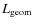 $L_{{\rm geom}}$