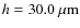 $h = 30.0~\rm\mu m$