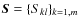 $\vec{S}=\{S_{kl}\}_{k=1,m}$
