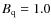 $B_{\rm q}=1.0$
