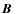 $\mbox{{\boldmath$B$ }}$