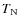$T_{\rm N}$