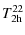 $\displaystyle T_{\rm 2h}^{22}$