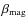$\beta _{\rm mag}$