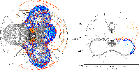 \begin{figure}
\par\includegraphics[width=8.5cm,clip]{13435fg9a.eps}\hspace*{4mm}
\includegraphics[width=8.5cm,clip]{13435fg9b.eps}
\end{figure}