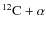 ${}^{12}{\rm C}+\alpha$