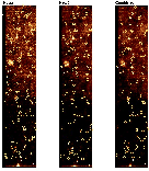 \begin{figure}
\par\includegraphics[width=12cm,clip]{13811fg09.eps}
\end{figure}