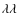 ${\lambda }{\lambda }$