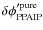 $\delta\phi'^{\rm pure}_{\rm PPAIP} $