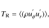 \begin{displaymath}T_{\rm R} = \langle{(\rho u_{\phi}^{'} u_{r}^{'}) \rangle},
\end{displaymath}