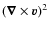$(\vec{\nabla} \times \vec v)^2$