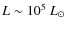 $L \sim 10^5~L_{\odot}$