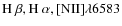 ${\rm H~\beta, H~\alpha,
[NII]}\lambda6583 $