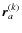 $\vec{r}_a^{(k)}$