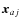 $\vec{x}_{aj}$