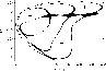 \begin{figure}
\par\includegraphics[width=8.5cm,clip]{13542fg6.eps}
\end{figure}