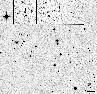 \begin{figure}
\par\includegraphics[width=8.5cm,clip]{13734fg3.eps}
\end{figure}