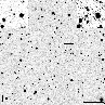 \begin{figure}
\par\includegraphics[width=8.5cm,clip]{13734fg4.eps}
\end{figure}