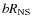 $b R_{\rm NS}$