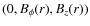 $(0,B_{\phi}(r),B_z(r))$
