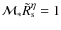 $\mathcal{M}_{\ast}\tilde{R}_{{\rm s}}^{\eta}=1$