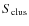 $S_{\rm clus}$