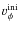 $v_{\phi}^{\rm ini}$