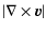 $\displaystyle {\vert\nabla\times \vec{v}\vert}$