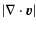 $\displaystyle {\vert\nabla \cdot \vec{v}\vert}$
