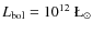 $L_{\rm bol}=10^{12}~\L _\odot$