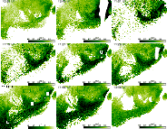 \begin{figure}
\par\mbox{\includegraphics[scale=.35]{13697fig6a.eps} \includegra...
...35]{13697fig6h.eps} \includegraphics[scale=.35]{13697fig6i.eps} }
\end{figure}