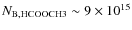 $N_{\rm B, HCOOCH3} \sim 9 \times 10^{15}$