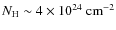 $N_{\rm H}\sim 4\times 10^{24}~{\rm cm}^{-2}$