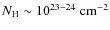 $N_{\rm H}\sim 10^{23{-}24}~{\rm cm}^{-2}$