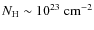 $N_{\rm H}\sim 10^{23}~{\rm cm}^{-2}$