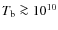 $T_{\rm b} \ga 10^{10}$