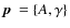 $\mbox{\boldmath$p$ }=\left\{ A,\gamma \right\}$