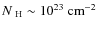 $N_{\rm ~H}\sim 10^{23}~\rm cm^{-2}$