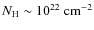 $N_{\rm H}\sim 10^{22}\rm ~cm^{-2}$