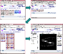 \begin{figure}
\par\includegraphics[width=18cm]{12938fig04.ps}
\end{figure}