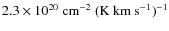 $2.3 \times 10^{20}~{\rm cm}^{-2}~({\rm K~km~s}^{-1})^{-1}$