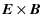 $\displaystyle {\vec{E}} \times {\vec{B}}$