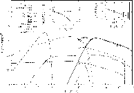 \begin{figure}
\par\includegraphics[width=17cm,clip]{13938fg7.eps}
\end{figure}