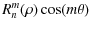 $\displaystyle R_n^m(\rho) \cos (m\theta)$