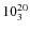 $10^{\rm 20}_{3}$