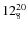 $12^{\rm 20}_{8}$
